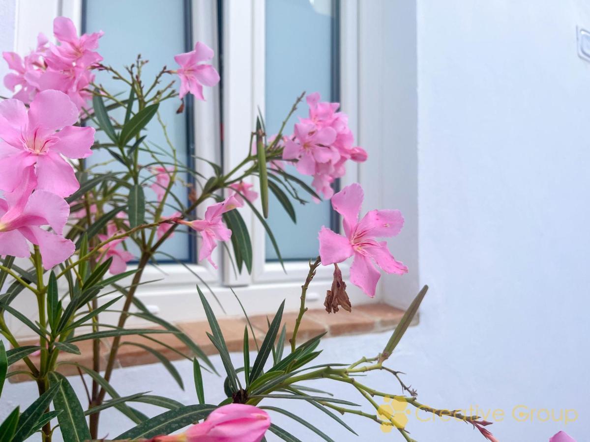 Casa Arbonaida Daire Vejer de la Frontera Dış mekan fotoğraf