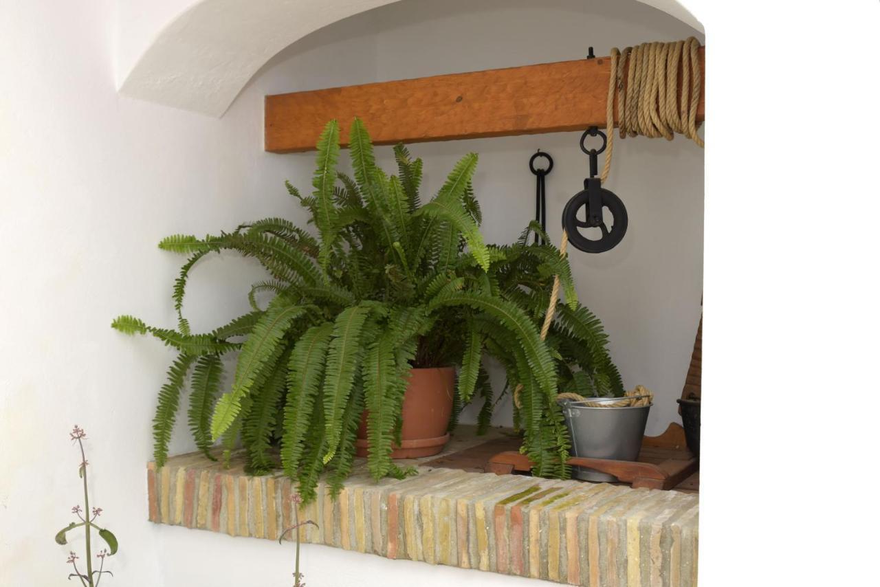 Casa Arbonaida Daire Vejer de la Frontera Dış mekan fotoğraf