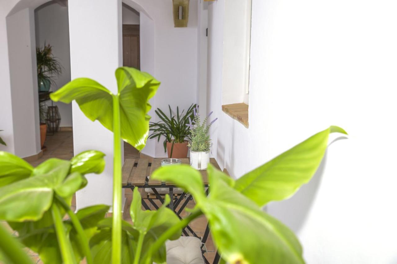 Casa Arbonaida Daire Vejer de la Frontera Dış mekan fotoğraf
